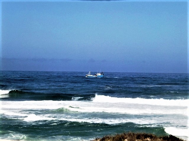 0 Bedroom Property for Sale in Yzerfontein Western Cape